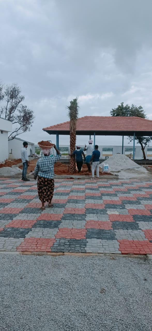 Professional Palm Planting